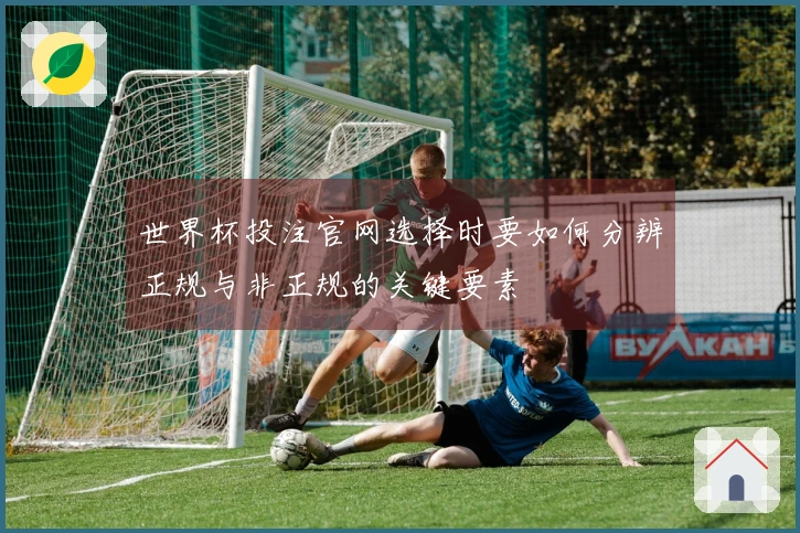 世界杯投注官网选择时要如何分辨正规与非正规的关键要素